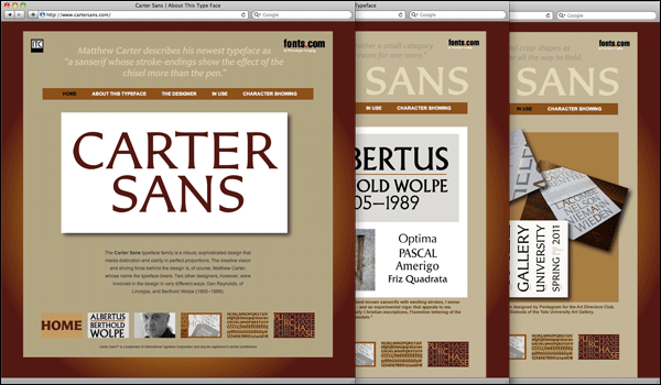 Screenshots of the Carter Sans microsite