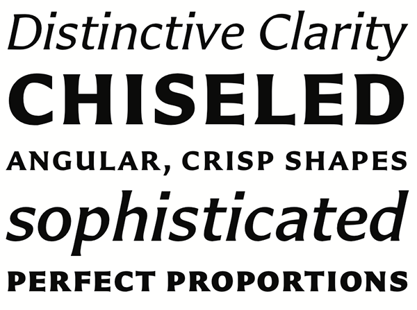 Carter Sans from Linotype.com