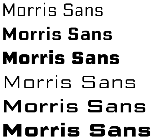 Morris Sans three weights